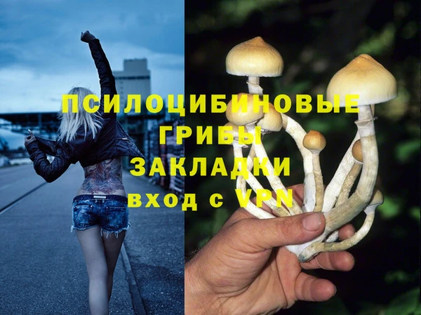 ECSTASY Осинники