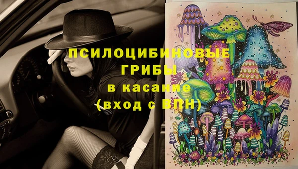 ALPHA PVP Остров